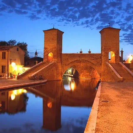 Cinghiali 32 Goro